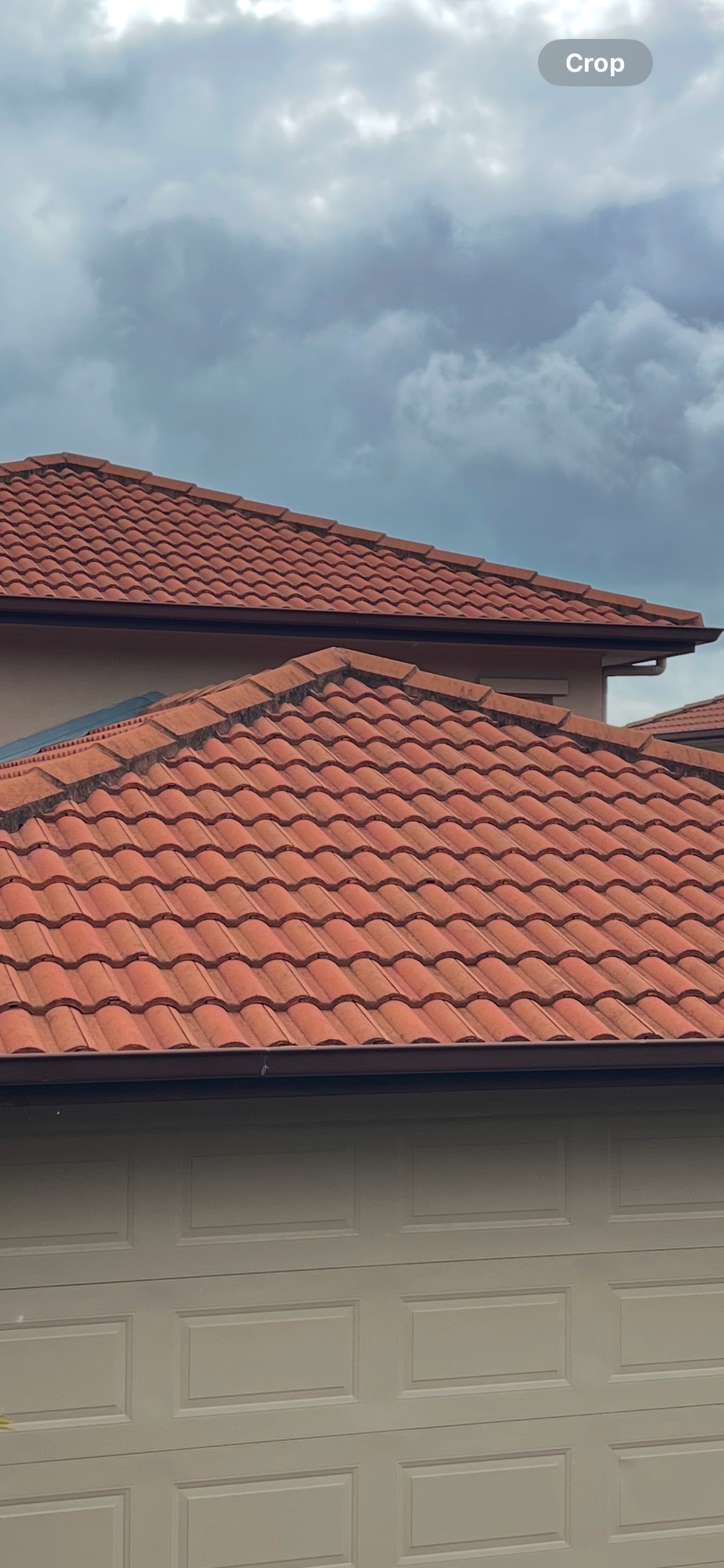 Roof tiles before washing